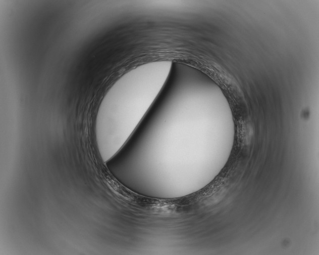 X0000097960760200803241041