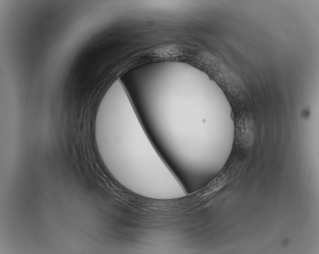 X0000097960762200803241042