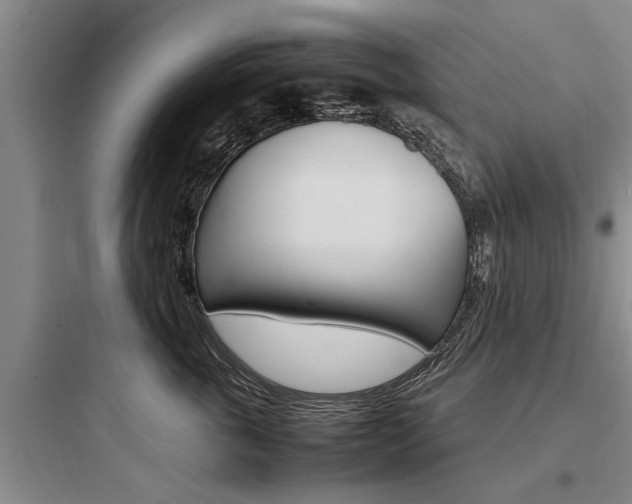X0000097960763200803241042