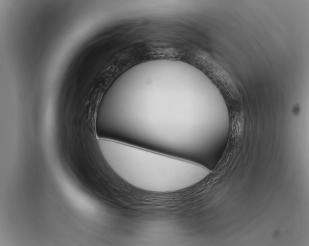 X0000097960764200803241042