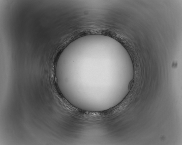 X0000097960768200803241042