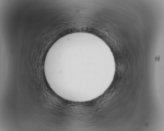 X0000097960769200803241041