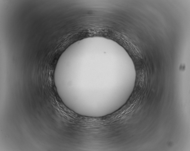 X0000097960770200803241041