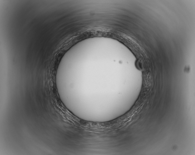 X0000097960774200803241041