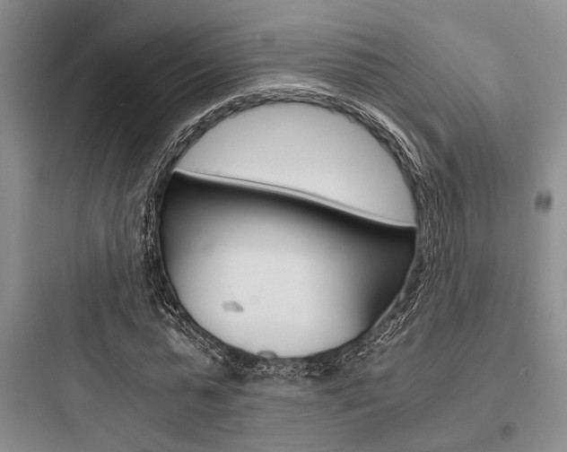 X0000097960775200803241041
