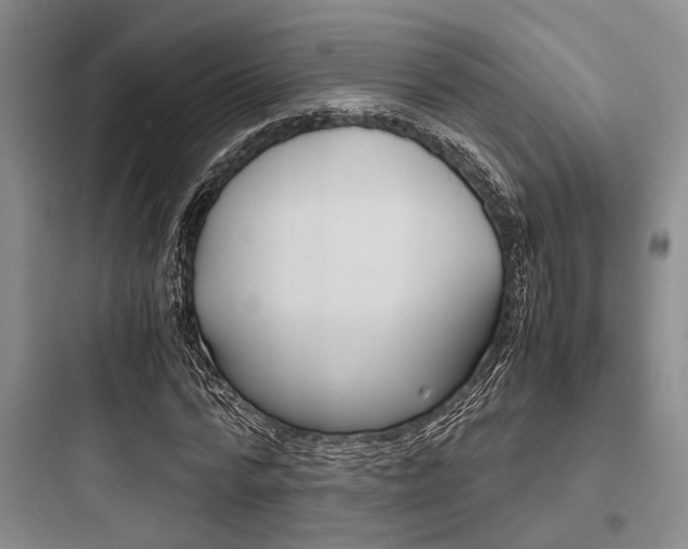 X0000097960776200803241041
