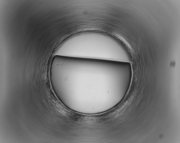 X0000097960777200803241041