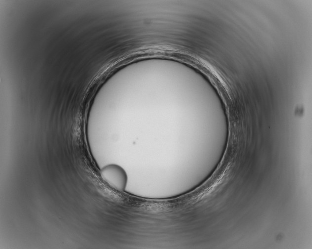 X0000097960778200803241041