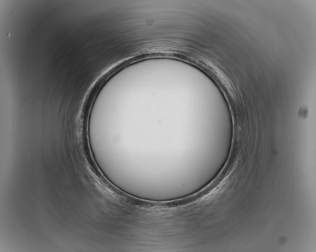 X0000097960779200803241041