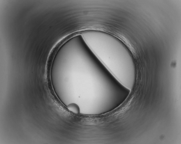 X0000097960780200803241041