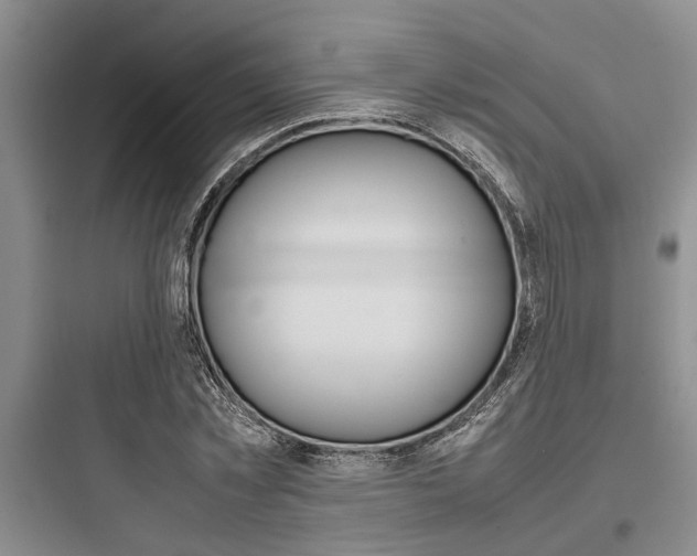 X0000097960781200803241041