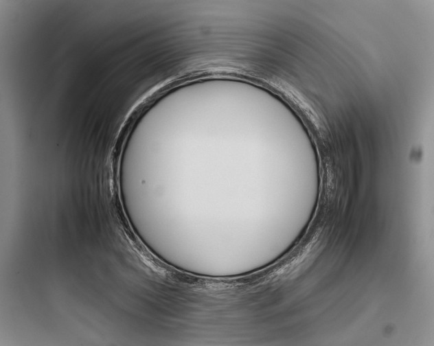 X0000097960782200803241041