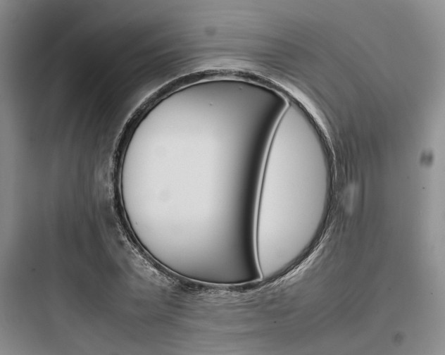 X0000097960783200803241041