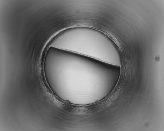 X0000097960784200803241041