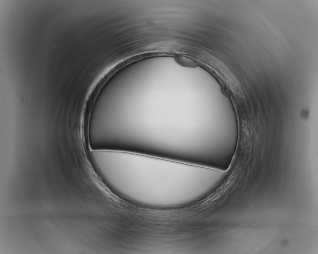 X0000097960788200803241041