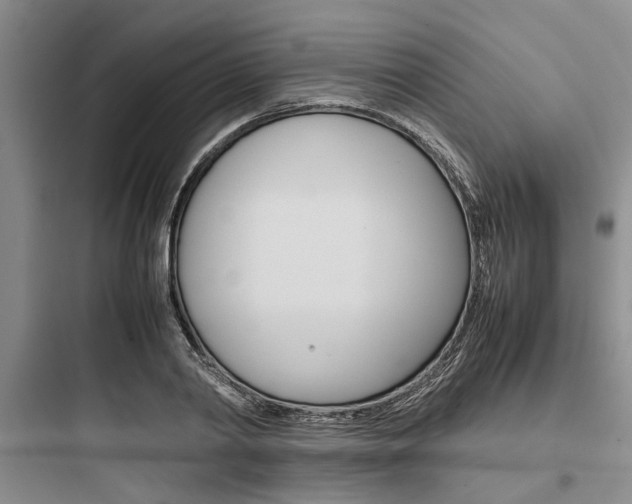 X0000097960790200803241041