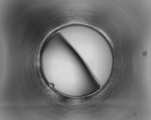 X0000097960791200803241041
