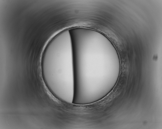 X0000097960792200803241041