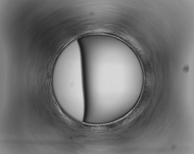 X0000097960793200803241041