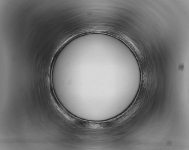 X0000097960794200803241041
