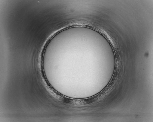 X0000097960795200803241041