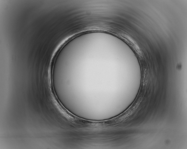 X0000097960796200803241041