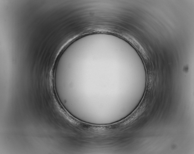 X0000097960798200803241041