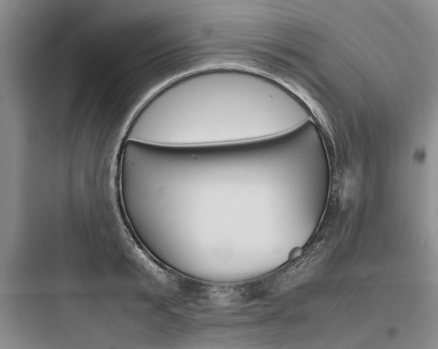 X0000097960799200803241041