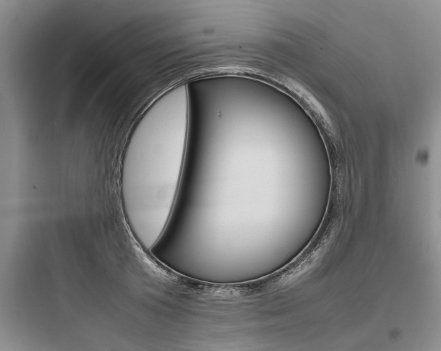 X0000097960801200803241040