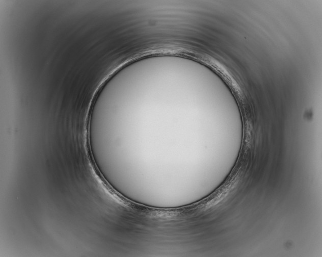 X0000097960802200803241040