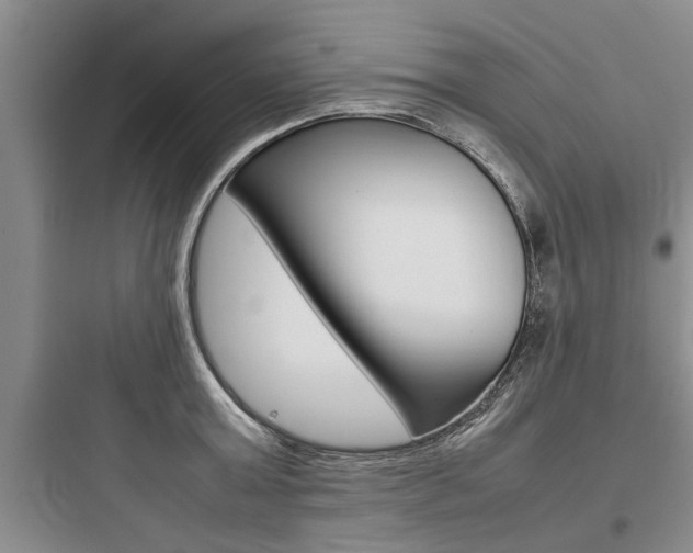 X0000097960803200803241040