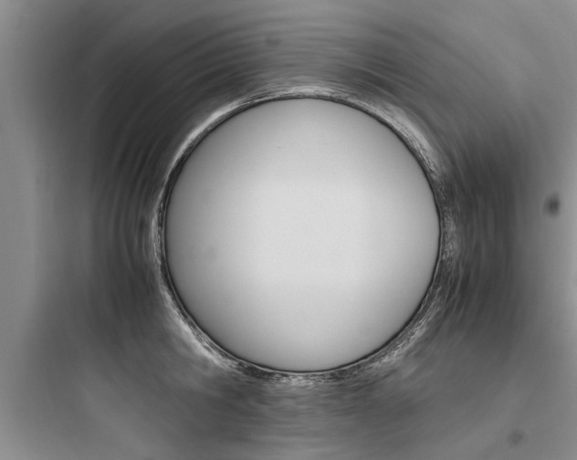 X0000097960806200803241040