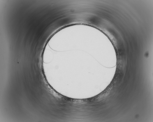 X0000097960807200803241040