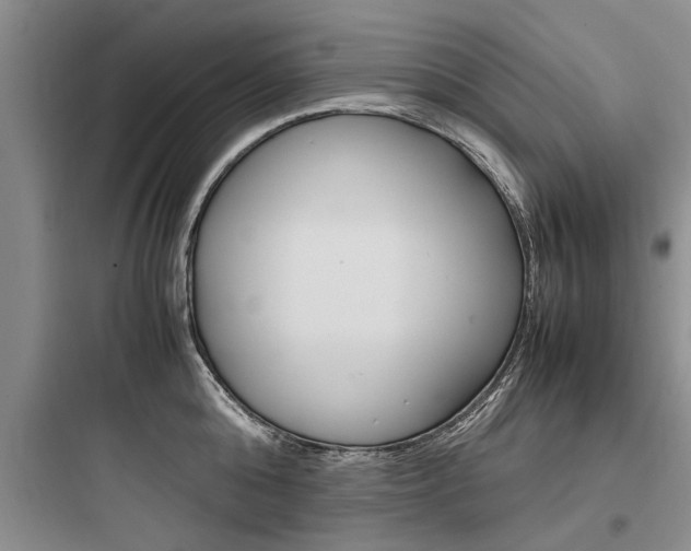 X0000097960808200803241040
