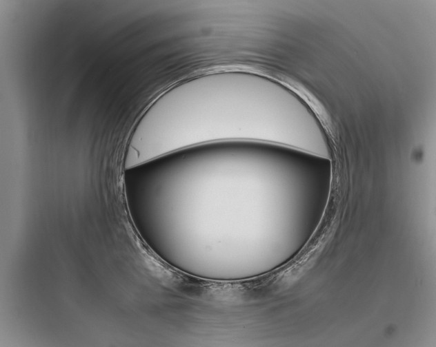 X0000097960809200803241040