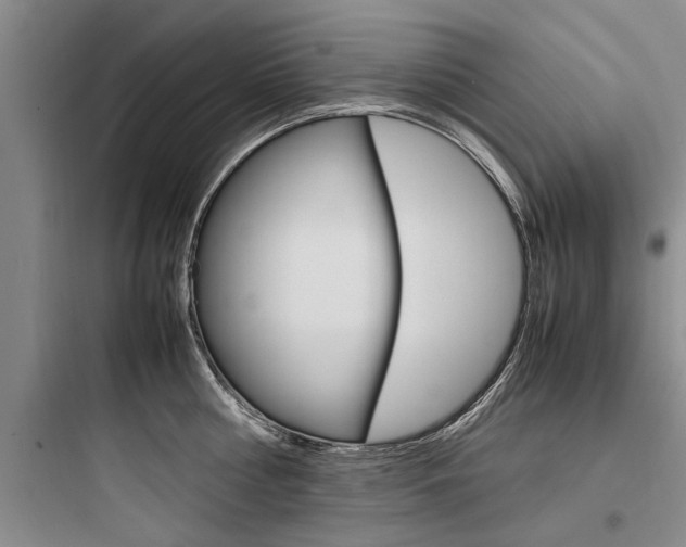 X0000097960810200803241040