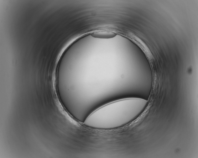 X0000097960812200803241040