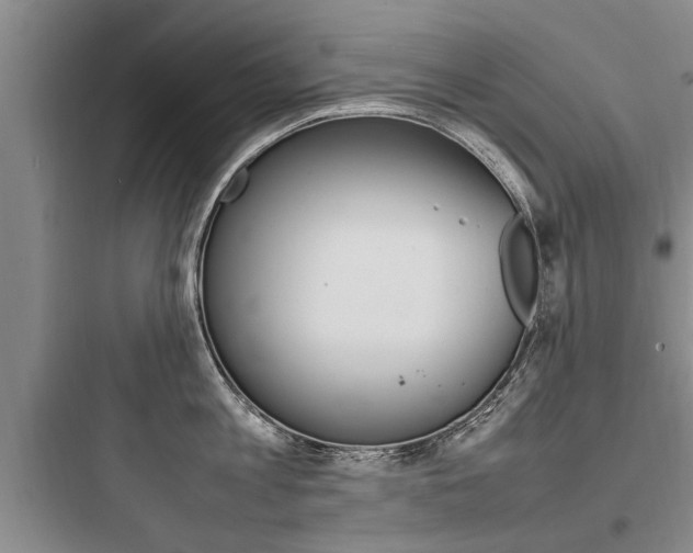 X0000097960813200803241040