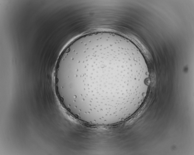 X0000097960814200803241040