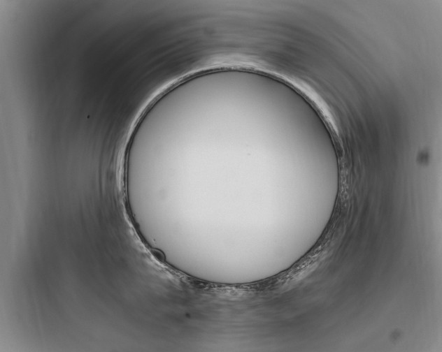 X0000097960815200803241040