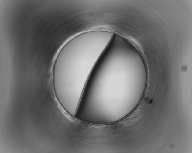X0000097960816200803241040