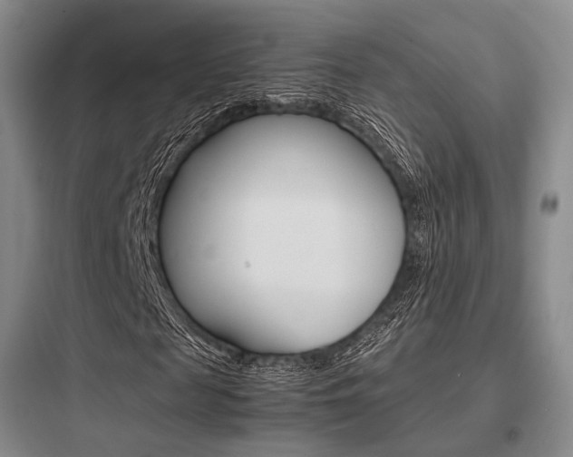 X0000097960817200803241039