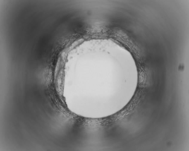 X0000097960820200803241039