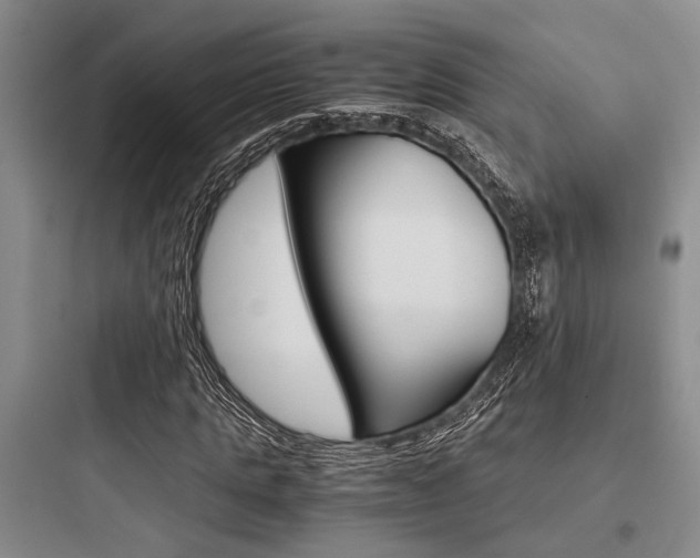X0000097960821200803241039