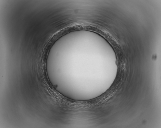 X0000097960822200803241039