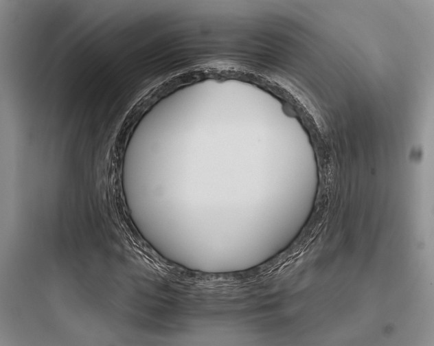 X0000097960823200803241039