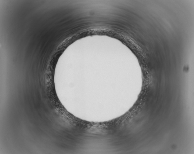 X0000097960824200803241039