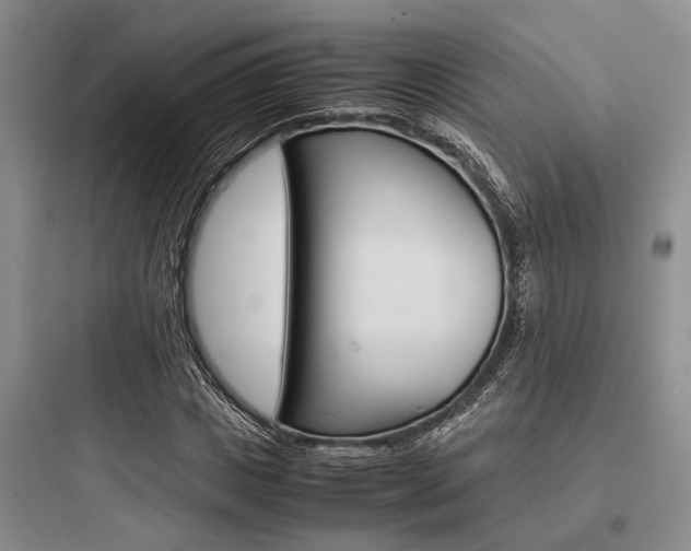 X0000097960825200803241039