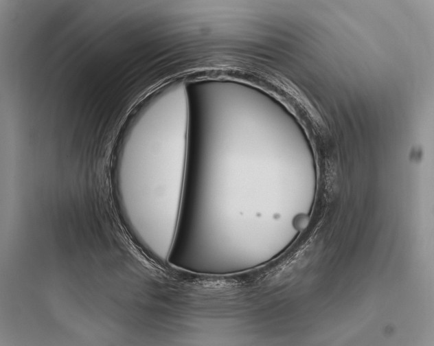 X0000097960826200803241039