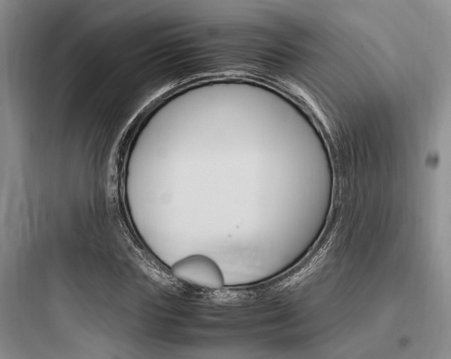 X0000097960827200803241039